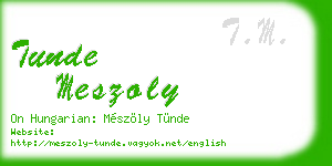 tunde meszoly business card